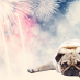 dog firework anxiety